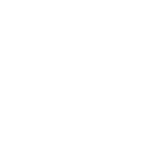 Face Scan Icon